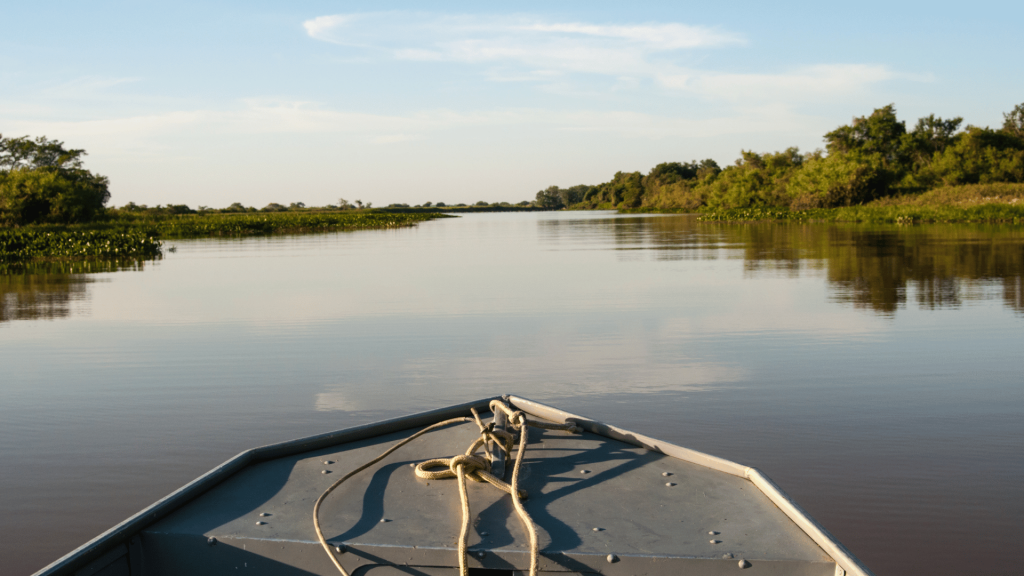 Pantanal: o Tesouro Natural do Brasil